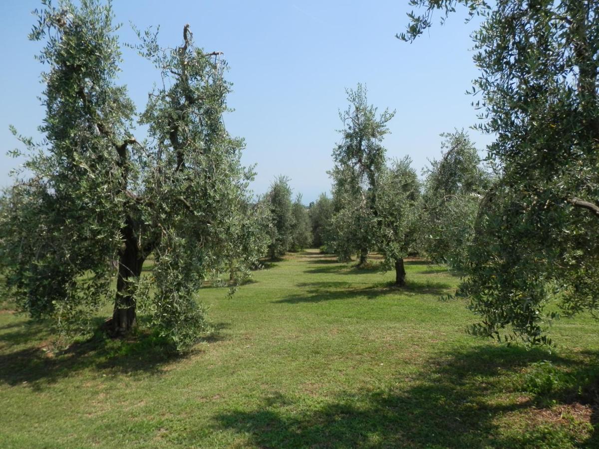 Fioralba Alloggio per agriturismo *