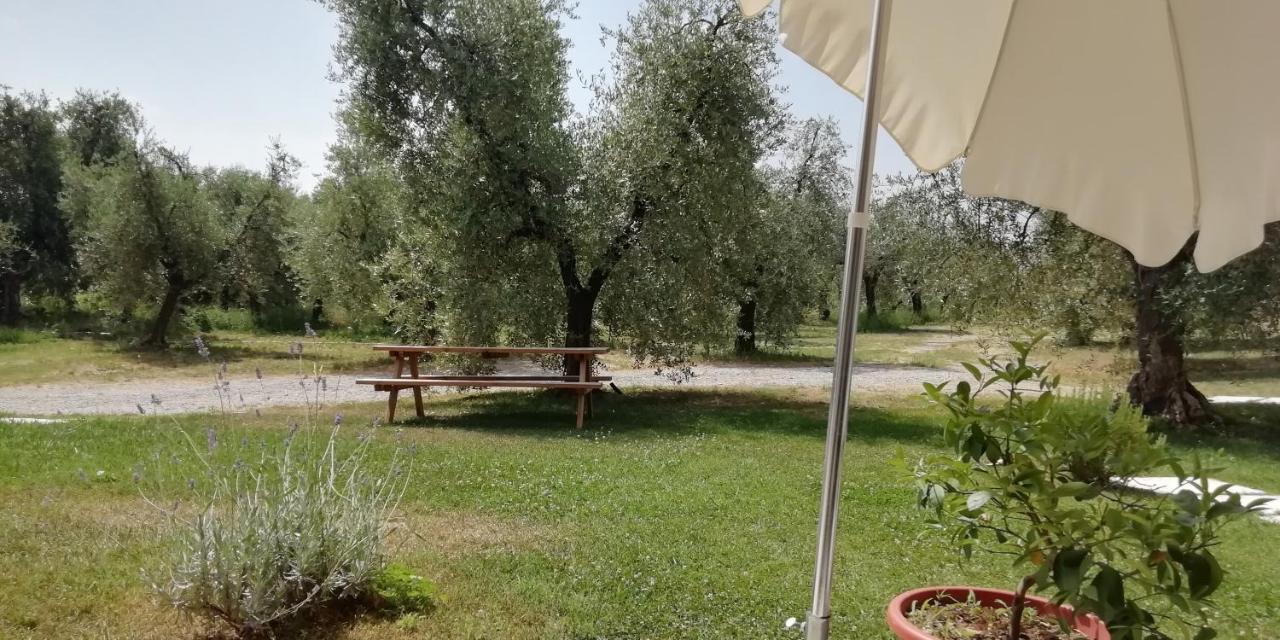 Alloggio per agriturismo Fioralba