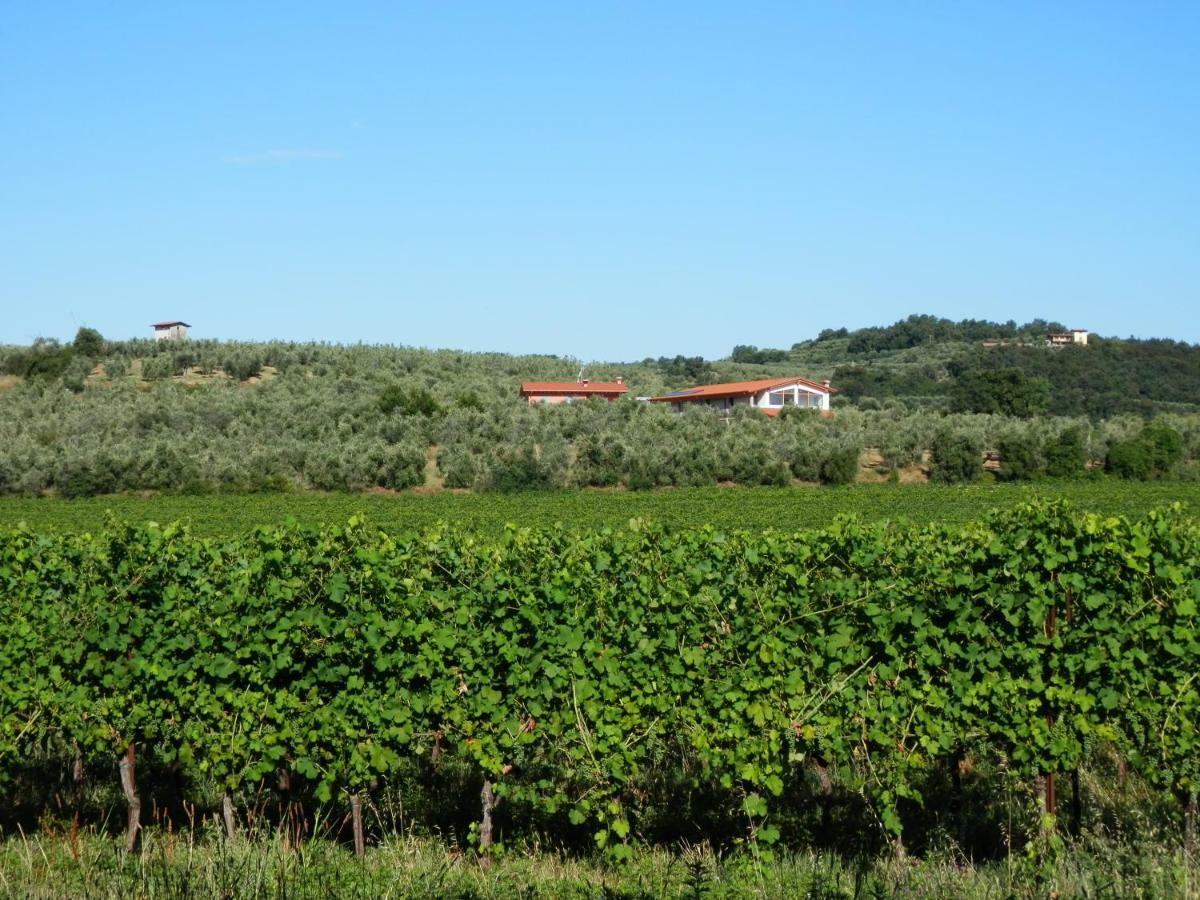 Alloggio per agriturismo Fioralba *