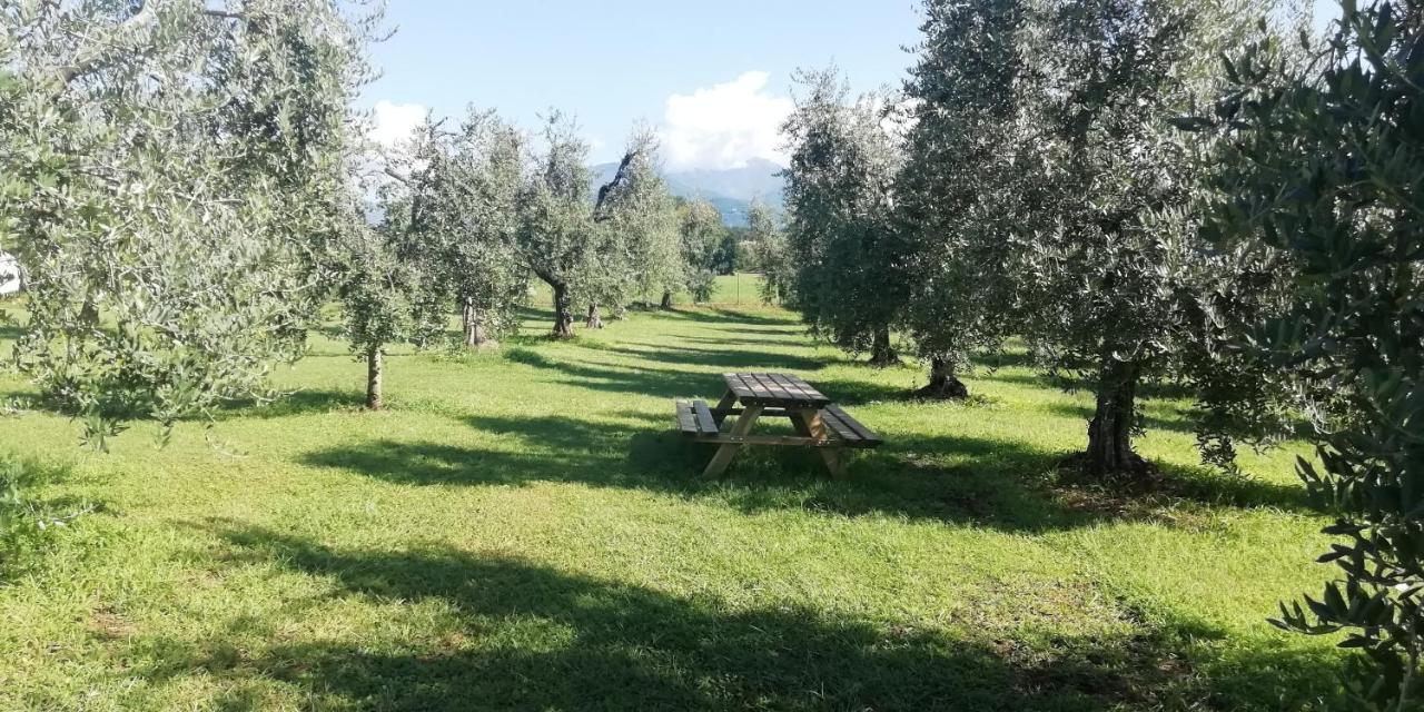 Fioralba *