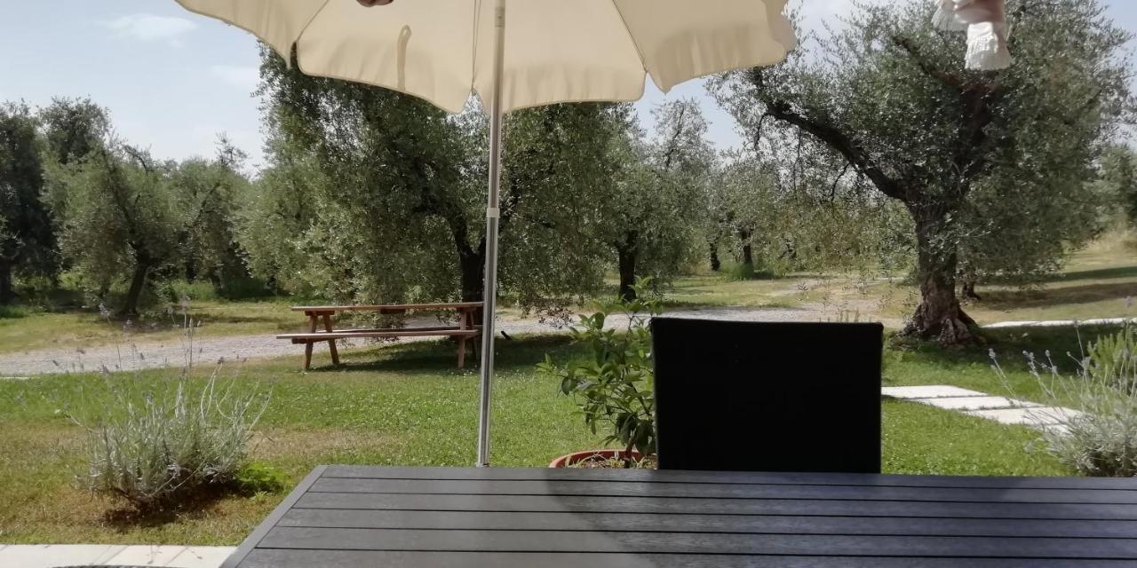 Farm stay Fioralba