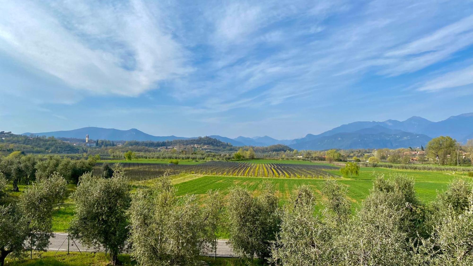 Fioralba Farm stay Polpenazze del Garda