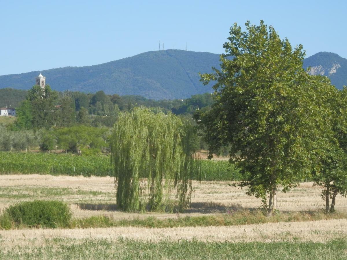 Farm stay Fioralba